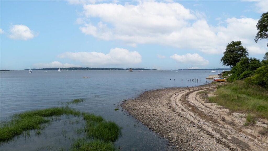 29-DJI_20250621185852_0002_D-Edit 29-DJI_20250621185852_0002_D-Edit